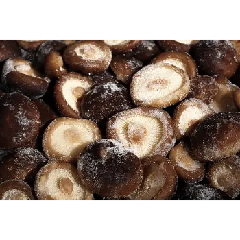 Frozen Mushrum (6)-3376362-44399.webp